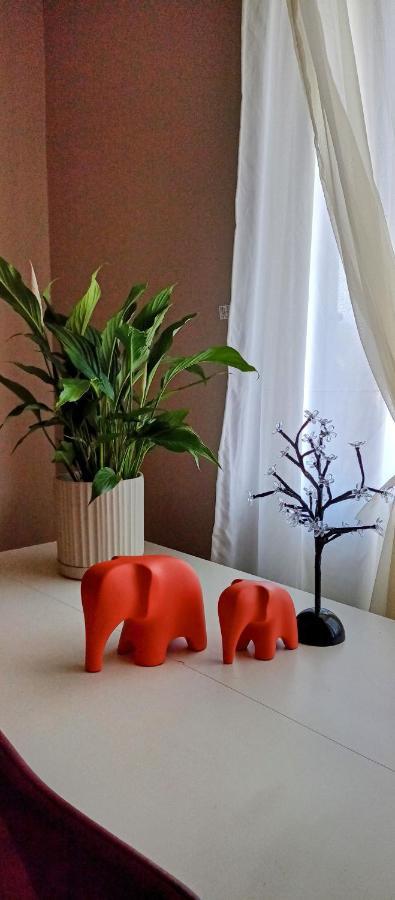 Insta Hostel Floripa Florianópolis Zewnętrze zdjęcie